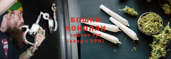 крисы Новокубанск