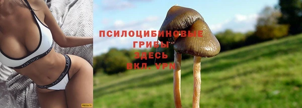 мет Абаза