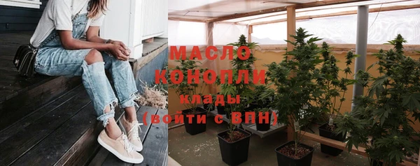 амф Новозыбков