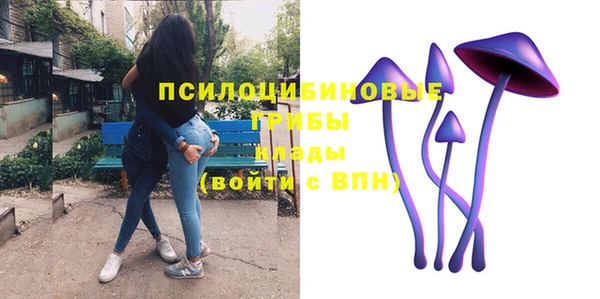 apvp Абинск
